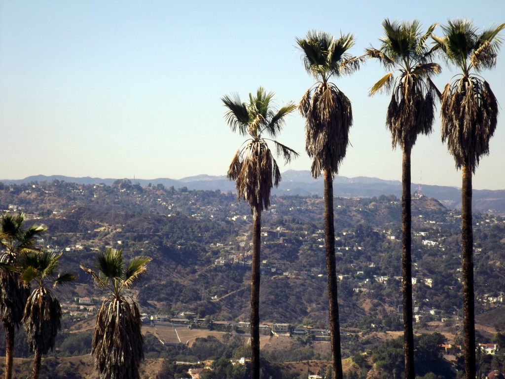 The Healing Power of&nbsp;Forgiveness