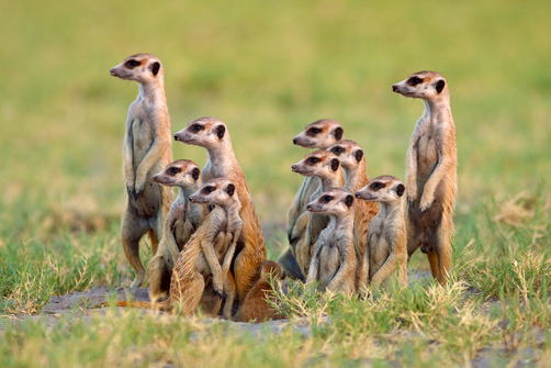 2011-11-26_1250640   Subscriber-false   Marketing-false   Newsletter-false   RegYSNewsletter-true  MicroTransactions-true