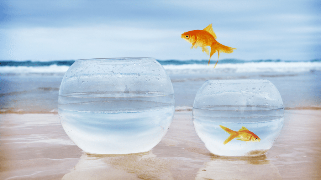 Examine Your Motives First: How to Develop a Positive&nbsp;Attitude